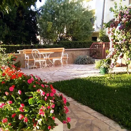Apartment - Diklo 5913b Zadar